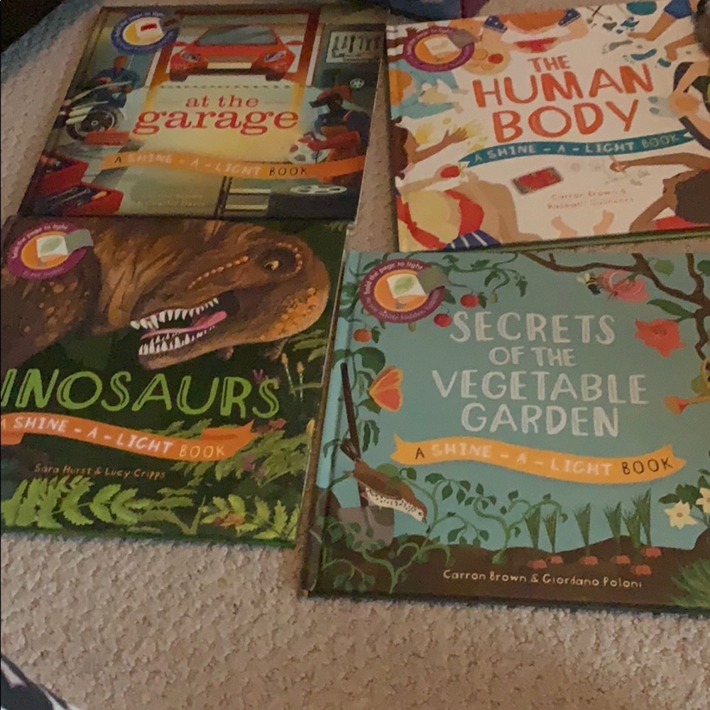 Usborne Shine A Light 💡 🔦 flashlight books